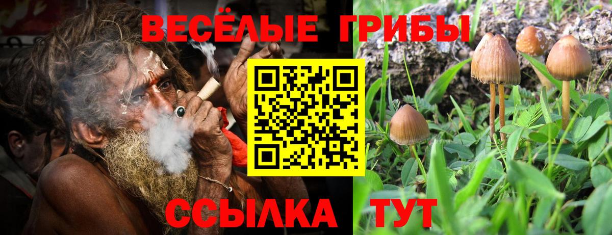 АМФЕТАМИН Минеральные Воды