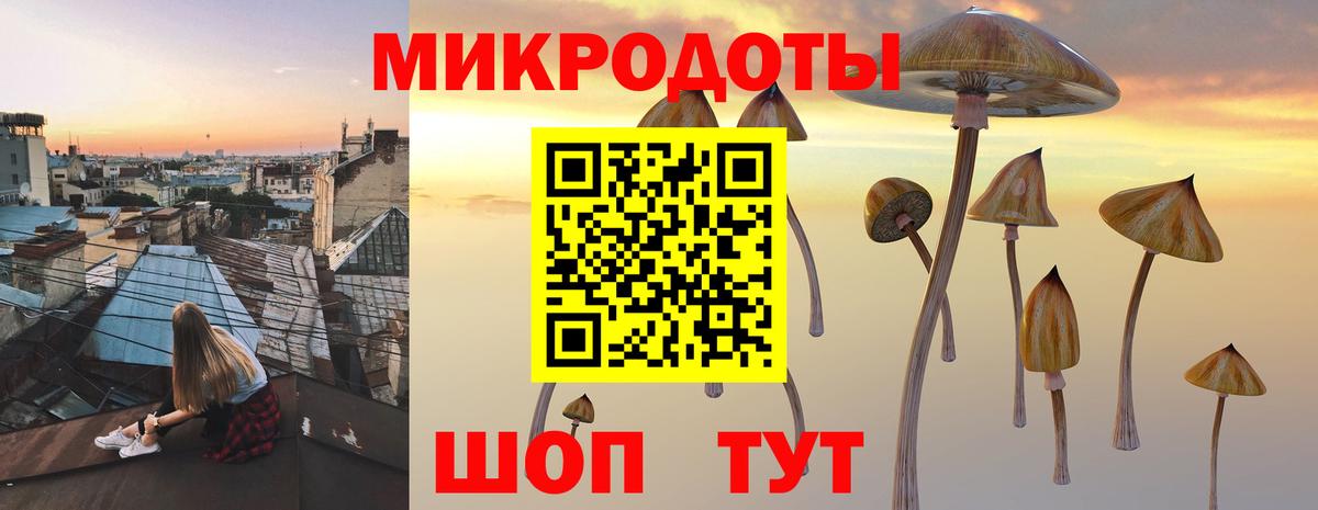 Галлюциногенные грибы Magic Shrooms Минеральные Воды